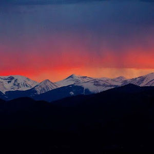 Meet your Posher, Brayden